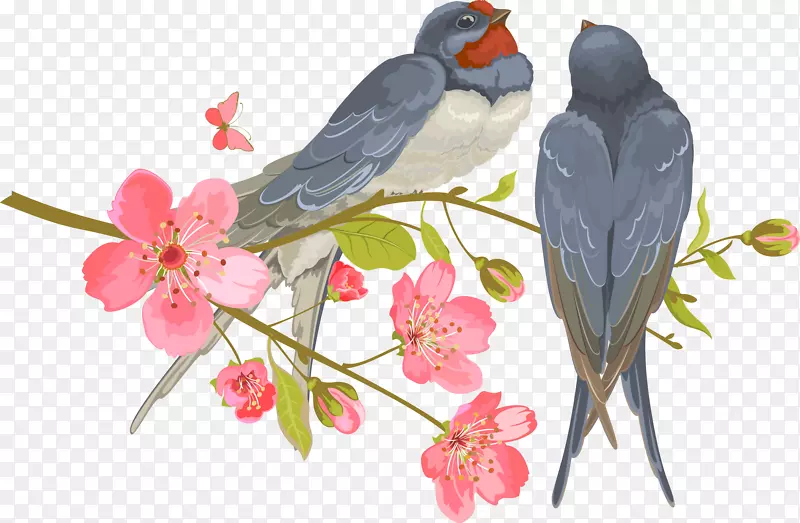 С����ͣ���һ�֦ͷˮ��ʸ��-������