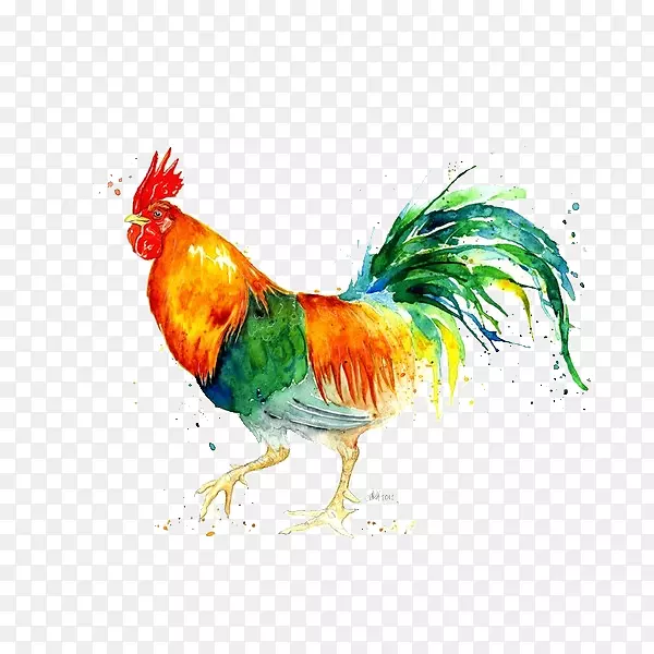 �ֻ湫��-������