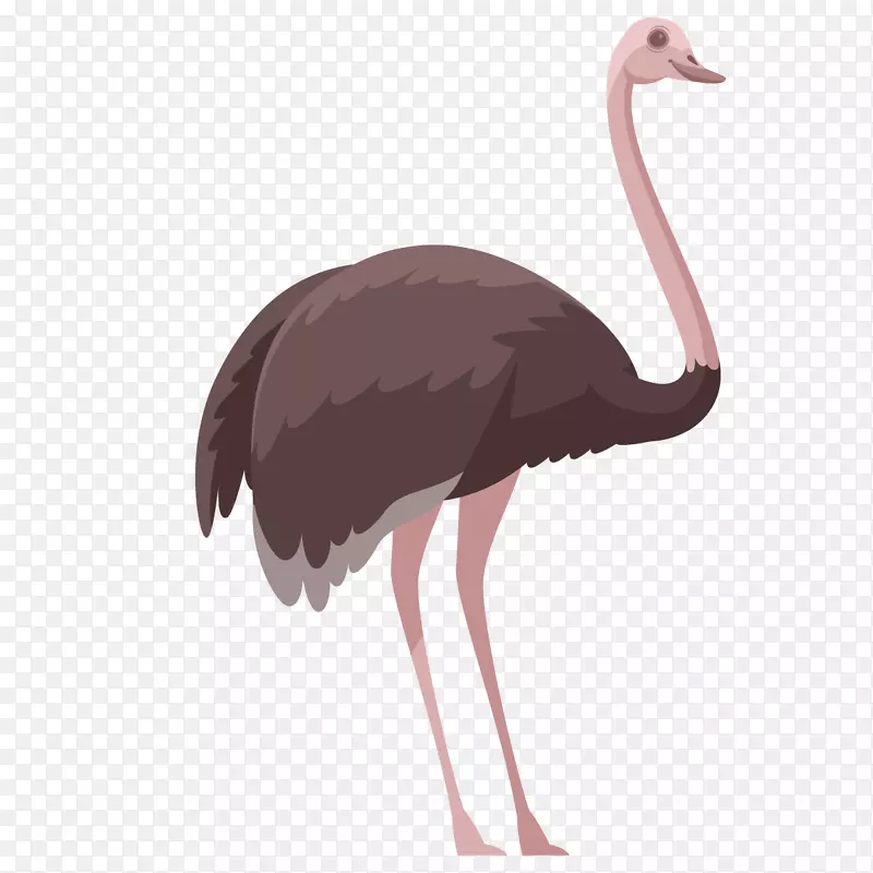 ��ͨ�ɰ�С����װ�ζ���ͷ��-������