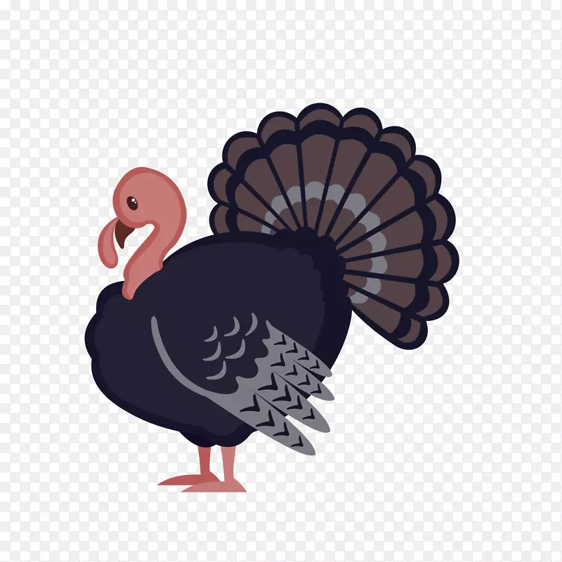 ��ͨ����PNG����-������