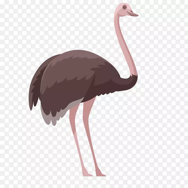 ��ͨ�ɰ�С����װ����ƶ���ͷ��-������