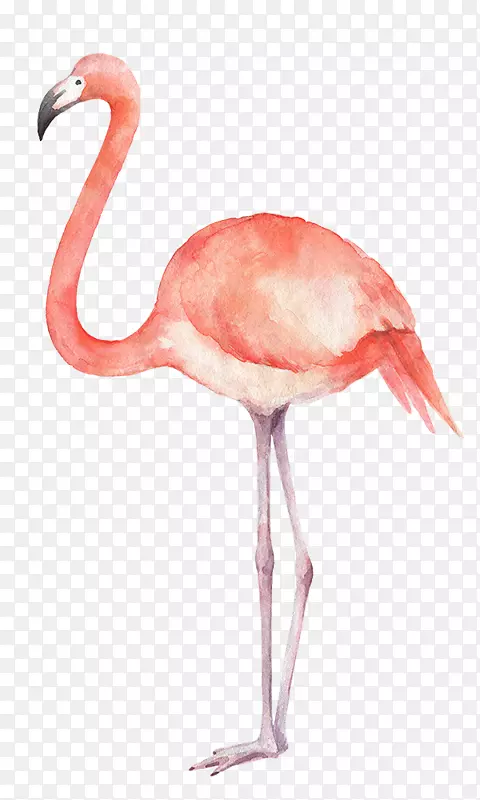 ��ͨ�ɰ�С����װ�ζ���ͷ��-������