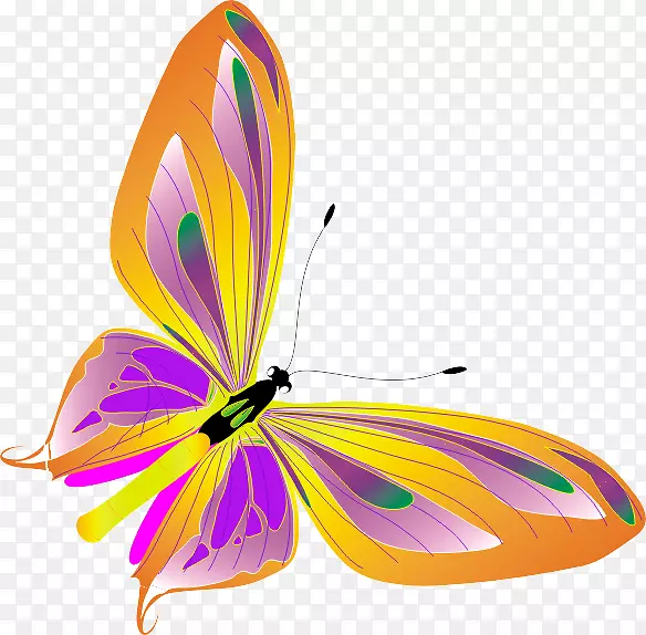 ��ɫ�����ز�-������