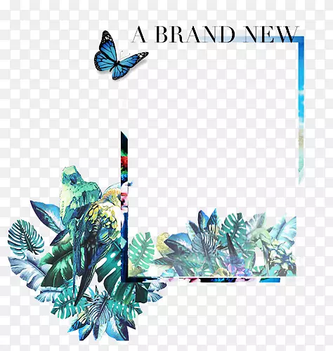 ��ɫ�����߿�-������