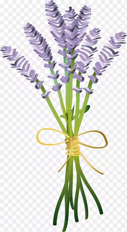 ��ɫǳɫ��ͨ޹�²�-������