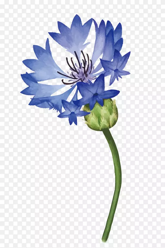 ʸ������-������