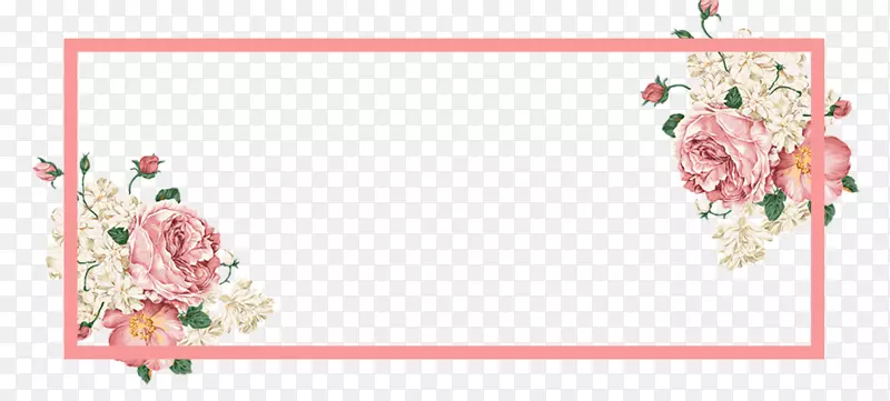 ��Լõ�廨�߿����-������