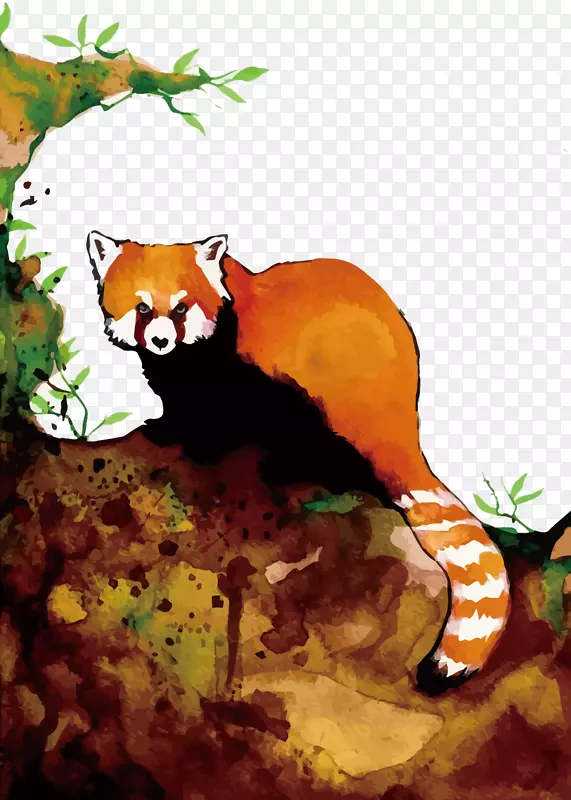 ʸ��С��è-������