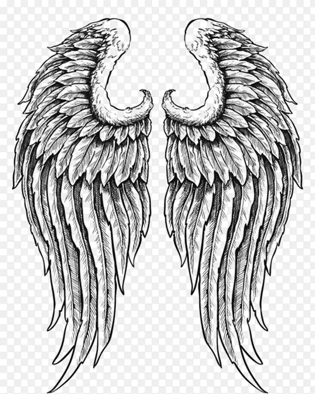 �ֻ�˫��-������