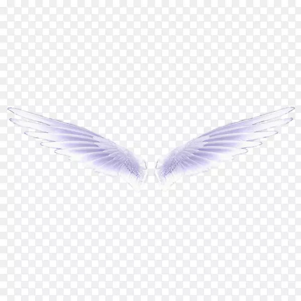 һ�Գ������ز�-������