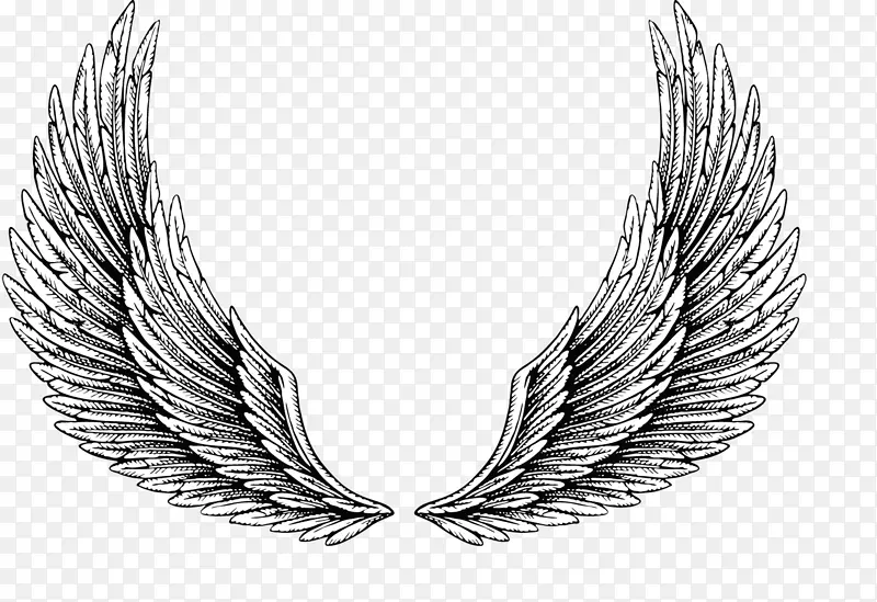 ��ɫ����ز�-������