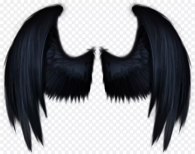 ��ɫ�ĳ��-������