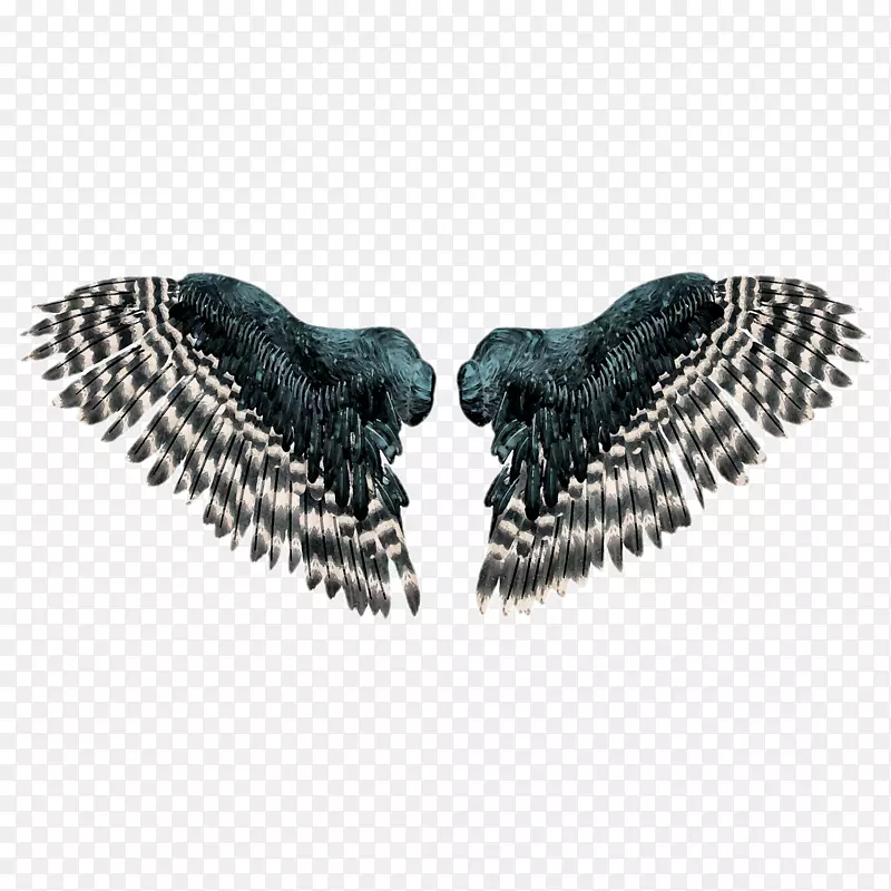 ��ɫ���-������