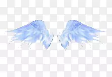 һ�Գ��-������