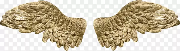 ��ɫ���-������