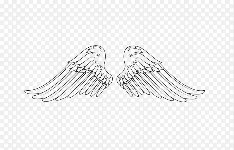 һ�Գ�ӥ���-������