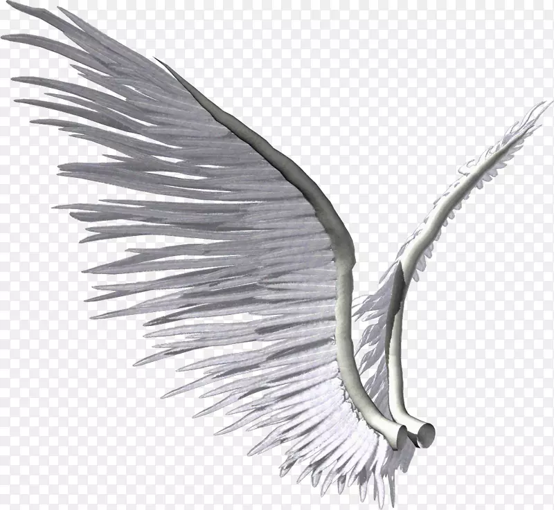 һ�Գ��-������