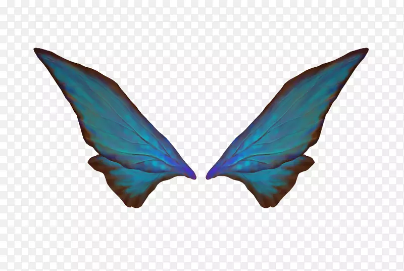 һ�Գ��-������