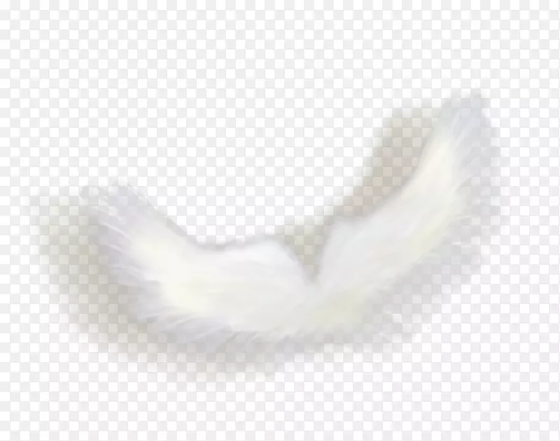 һ�Գ��-������