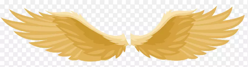 ��ȫչ���Ľ�ɫ��ʹ֮��-������