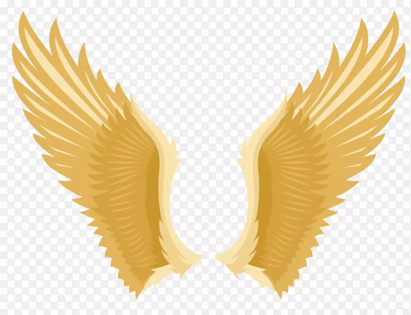 ���ʸ����ͨ����-������