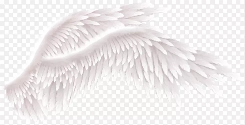 ��è�Ա������װ�γ��-������