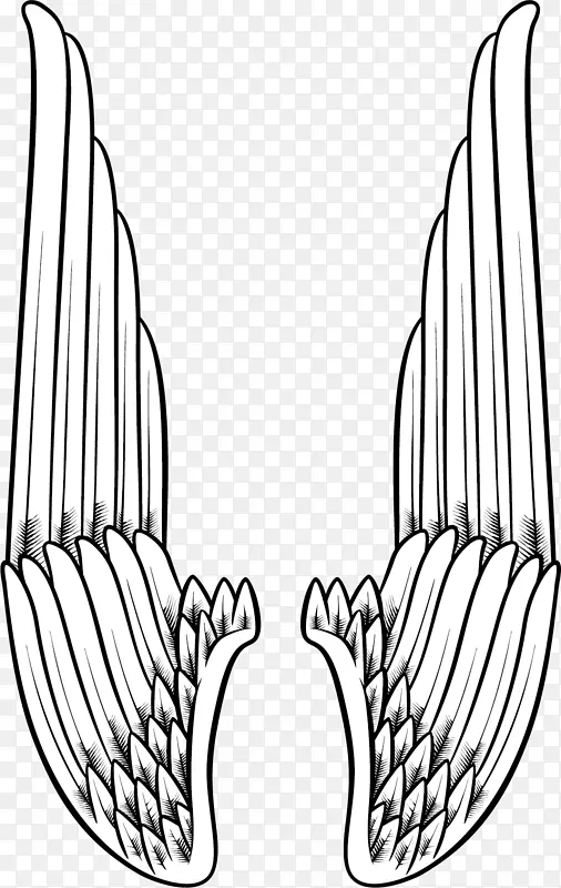 ��ֱ��ʸ����ɫ����-������