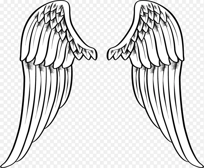 ��ɫ�ԳƵ�ʸ�����-������