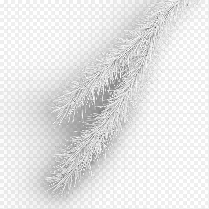 ʥ�������֦���ͼ-������