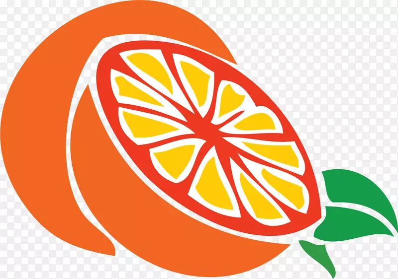 ��ɫ����-������