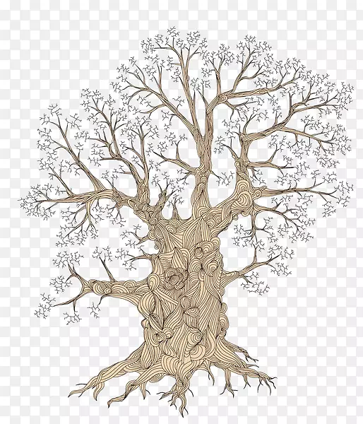 �ŷ���Ƶ���֦-������