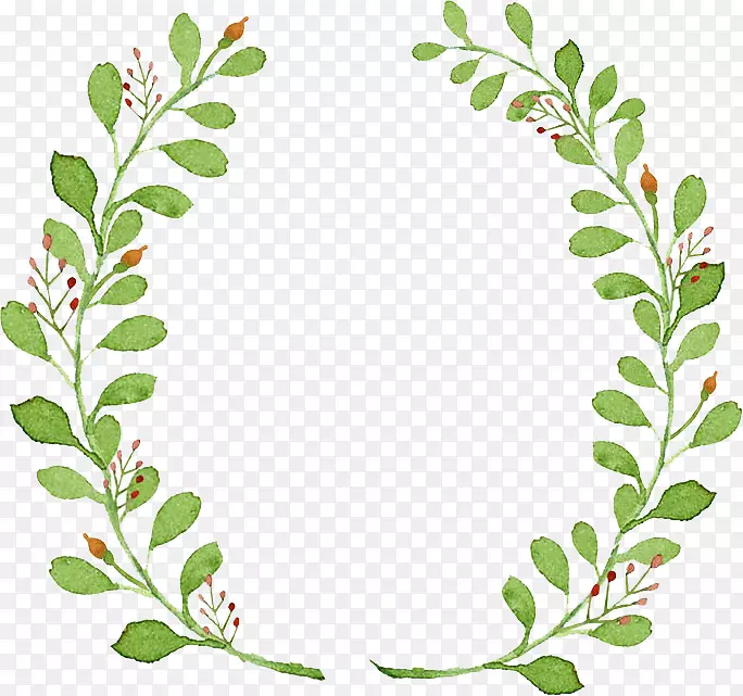 PNG��Ҷ��֦����-������