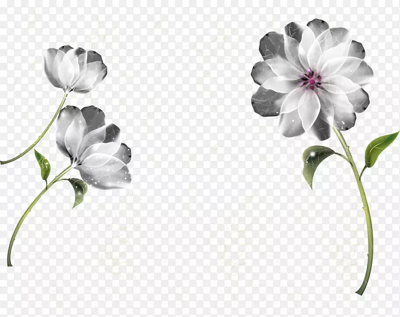 Ư����ɫС��-������