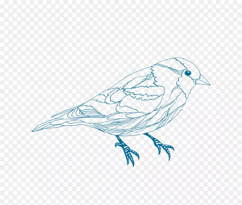 �ֻ��߸����ز�-������