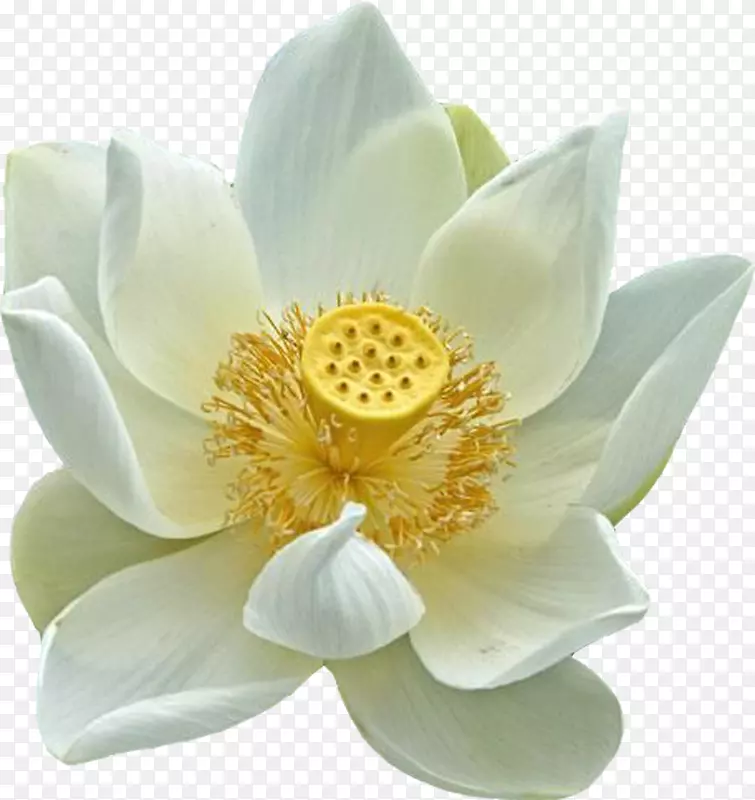 ������������������-������