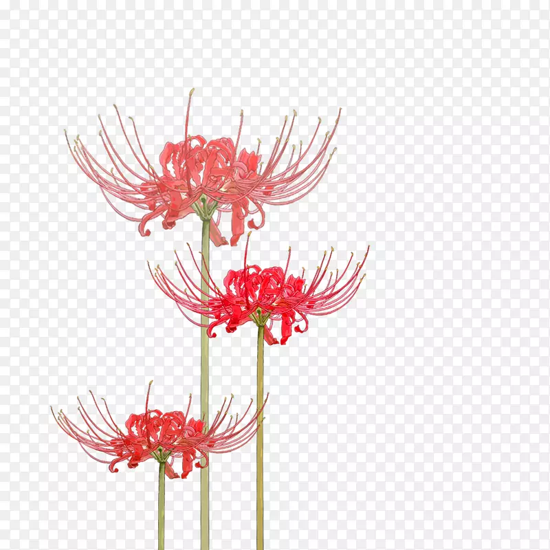 �ֻ����䰮�黨�˰���-������