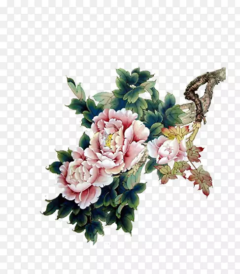 ��֦�ϵ�ĵ����-������