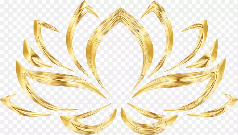 Nelumbo nucifera����ͼ�������-ܽ��-������