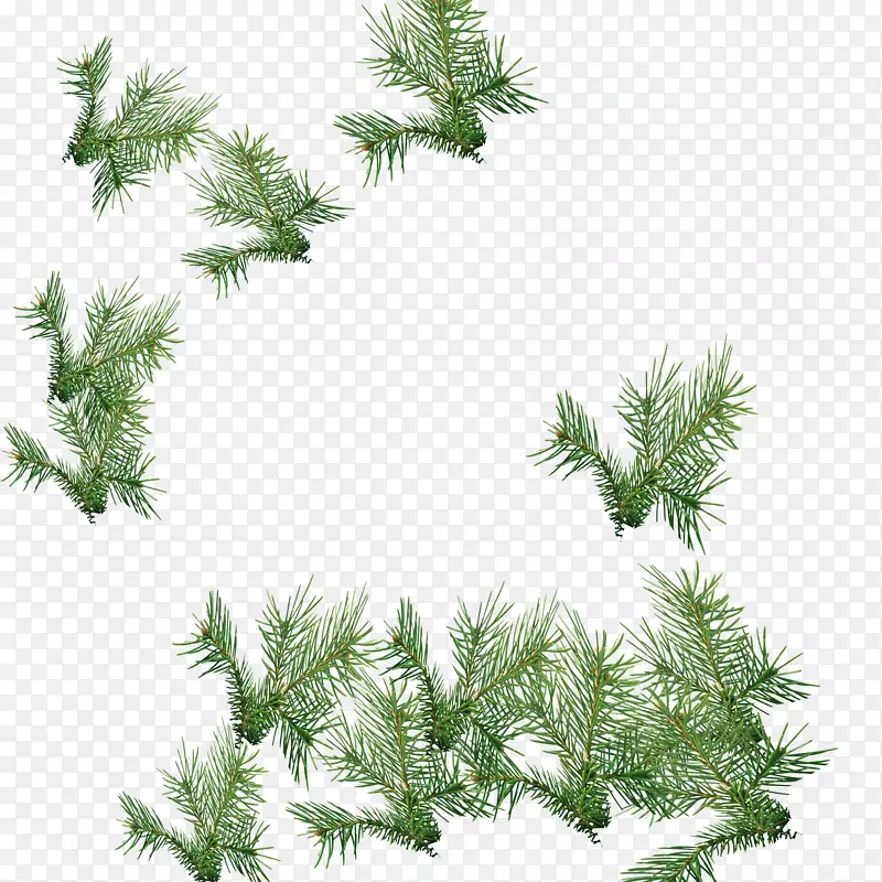 ֲ��-������