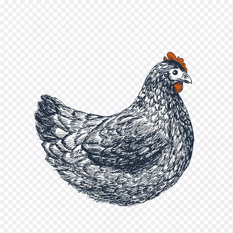 ˮ��ĸ��-������