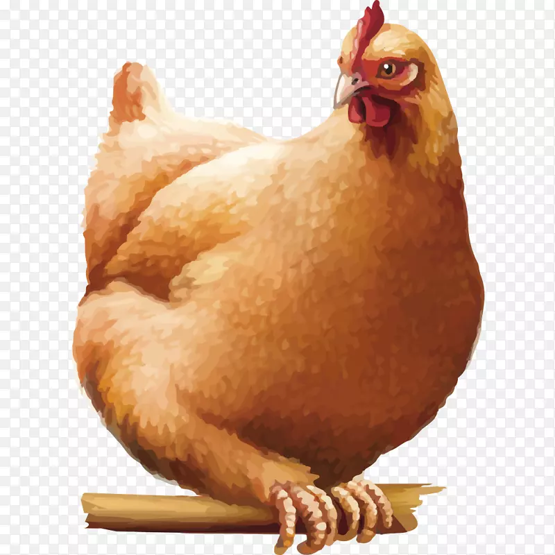 ʸ��ĸ��-������