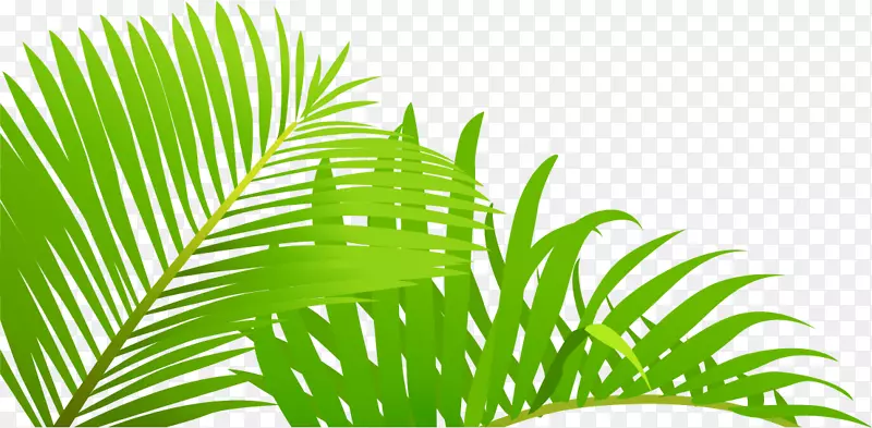 ҶƬ-������