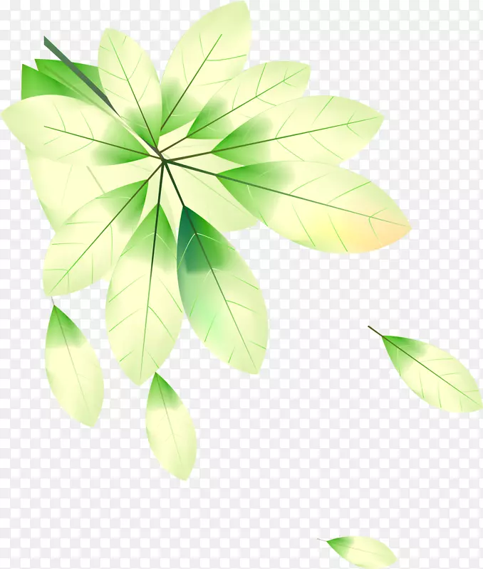 ��ɫ�ֻ���Ҷ-������