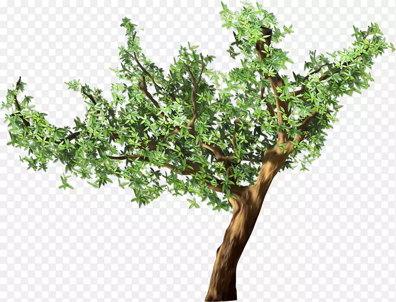 һ������-������