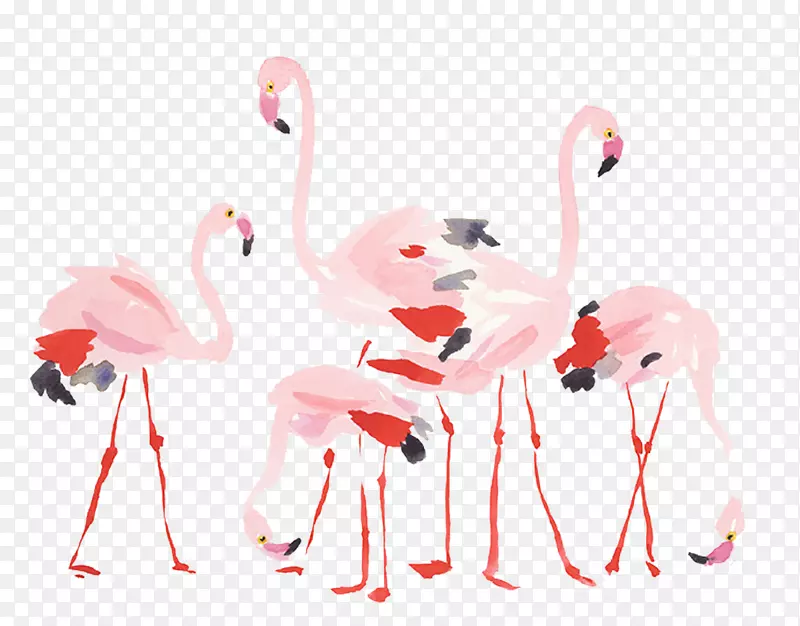 �ֻ�ˮ�ʻ�����-������