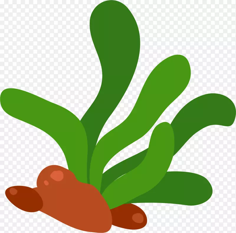 ����������ɫ����-������