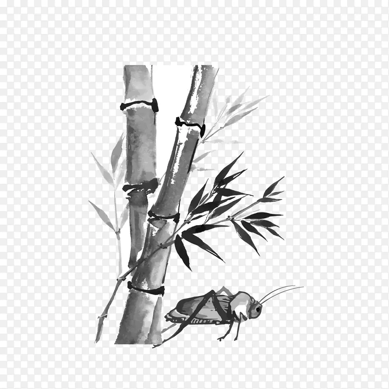 ī���������-������