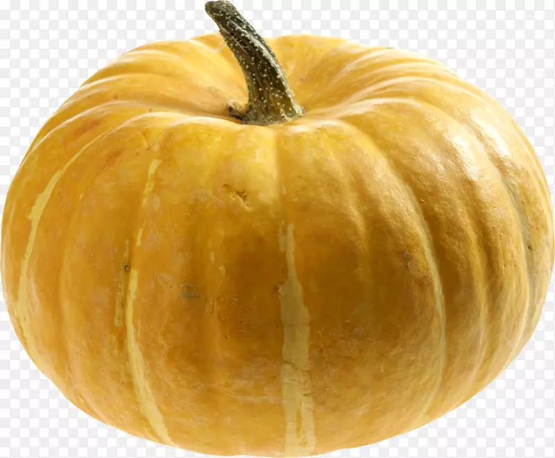 ��ɫ���Ϲ�-������