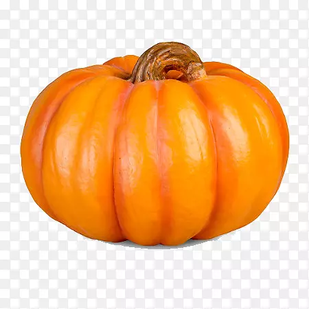 ��ɫ�Ϲ�-������