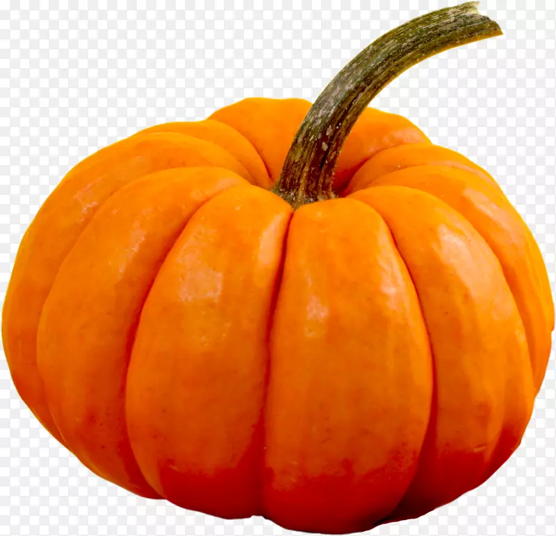 ��ɫƯ���Ϲ�-������